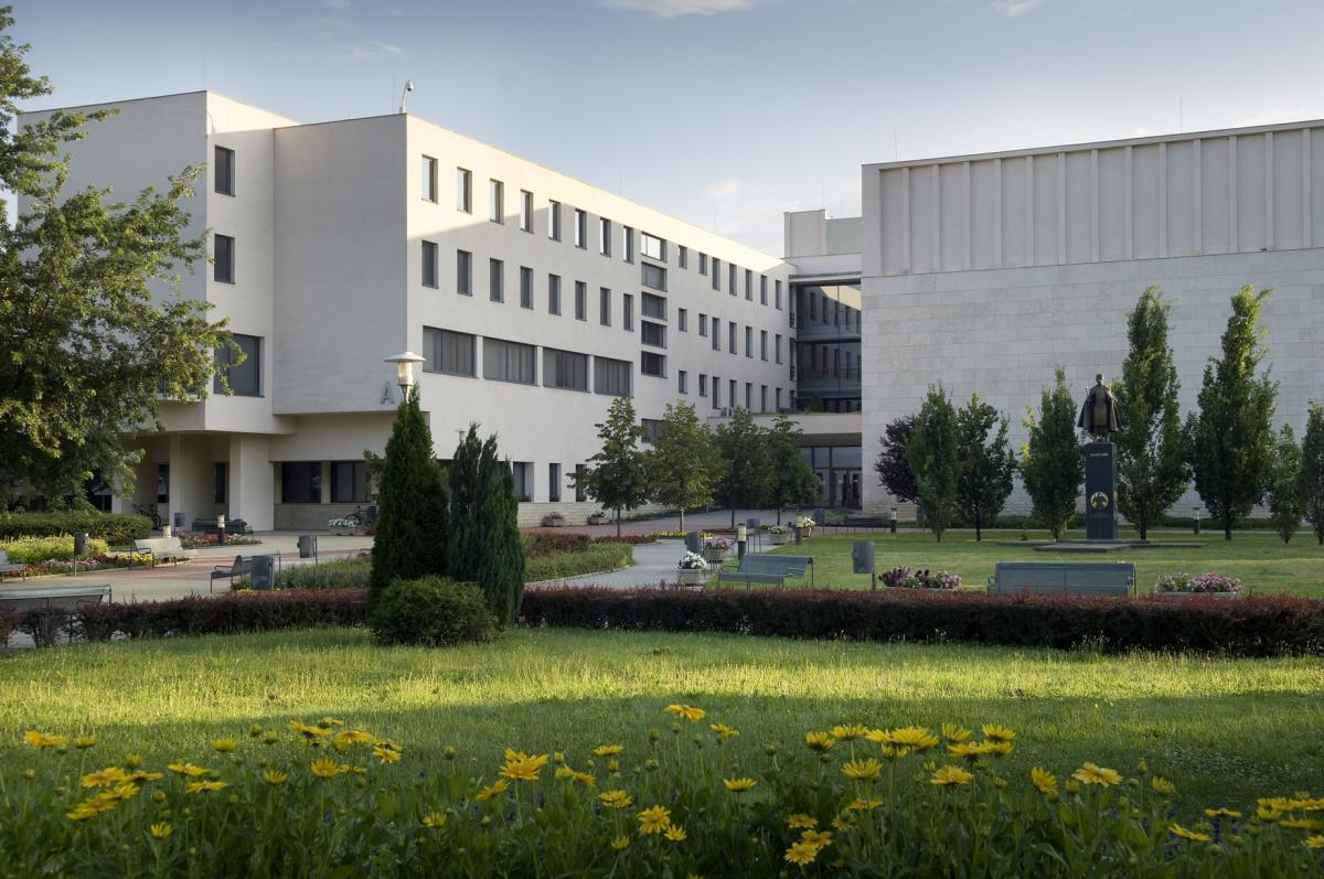 university of nyiregyhaza resimleri