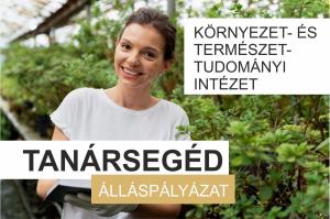 kép